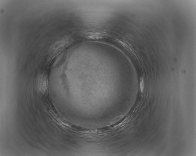 X0000085261444200703091311