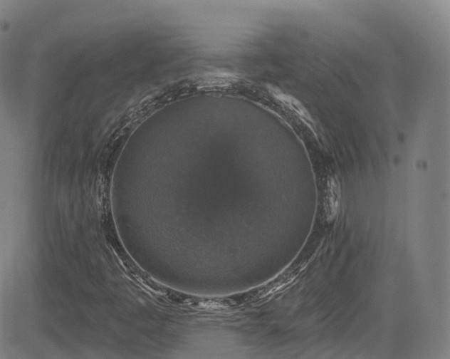 X0000085261445200703091311