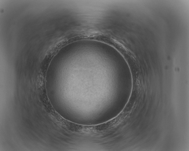 X0000085261447200703091311