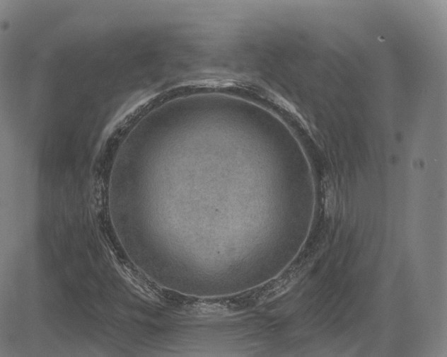 X0000085261448200703091311