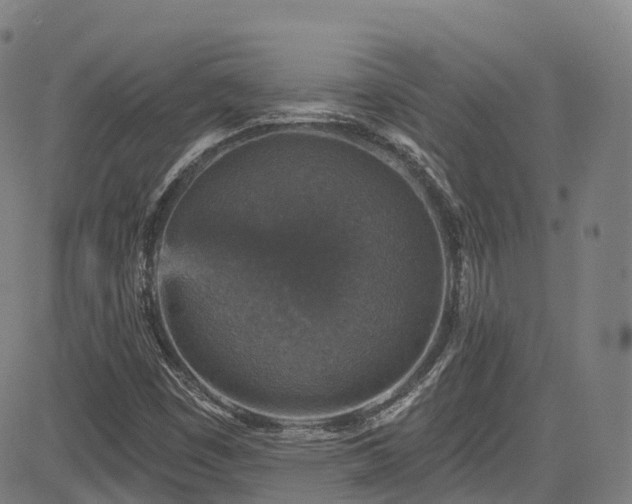 X0000085261449200703091311