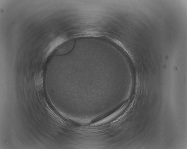 X0000085261450200703091311