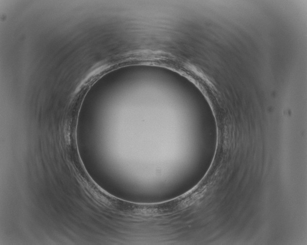 X0000085261451200703091311