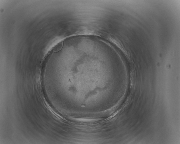 X0000085261452200703091311