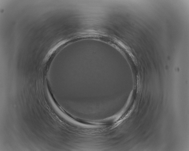 X0000085261453200703091311