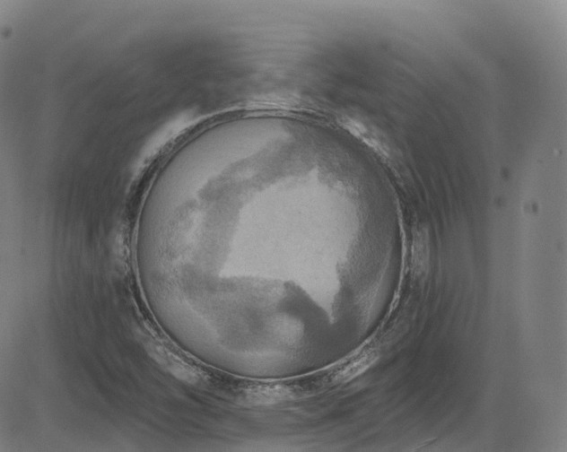 X0000085261454200703091311