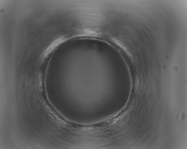 X0000085261455200703091311