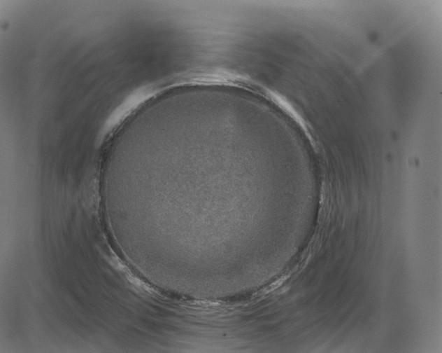 X0000085261456200703091311