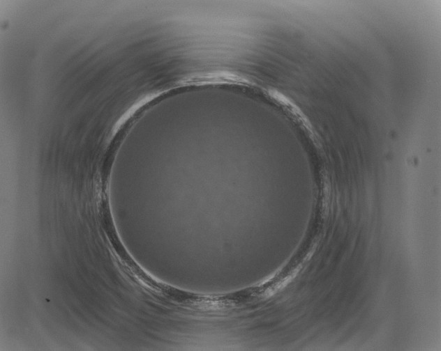 X0000085261457200703091311