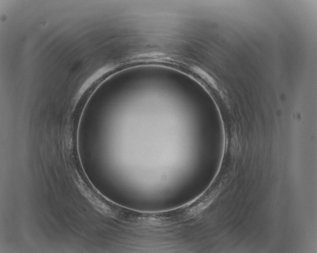 X0000085261458200703091311