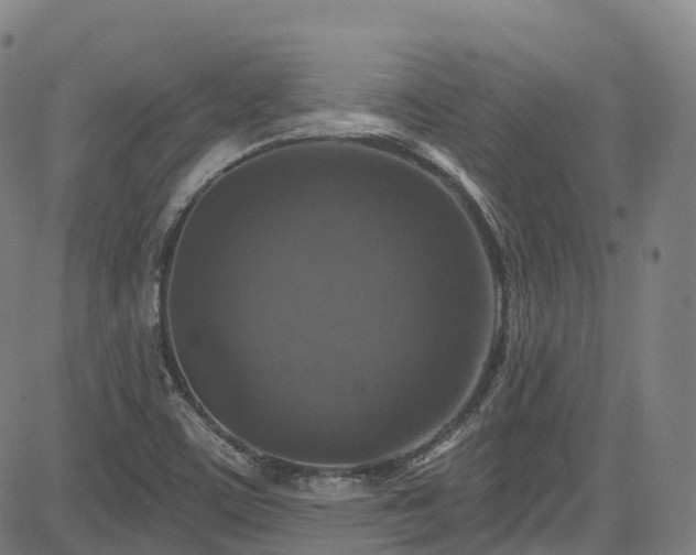 X0000085261459200703091311