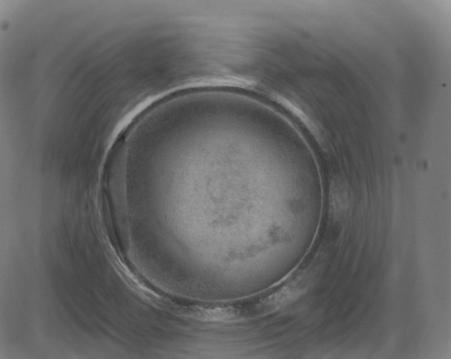 X0000085261460200703091311