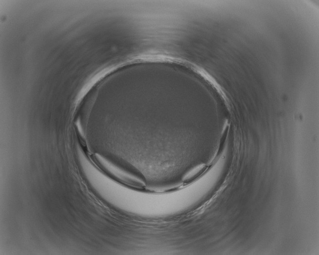 X0000085261461200703091311