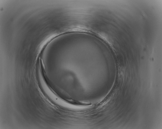 X0000085261463200703091311