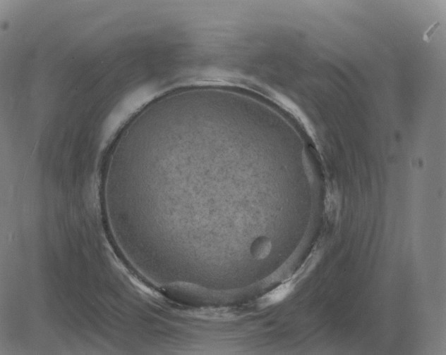 X0000085261464200703091311