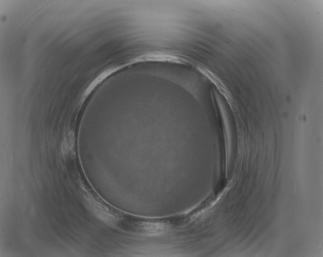 X0000085261465200703091311