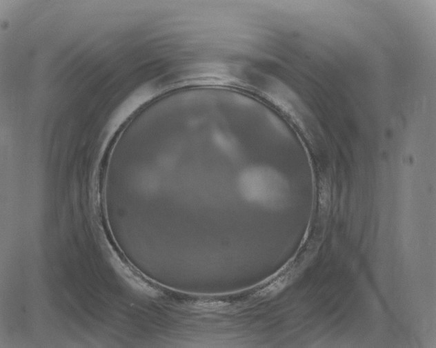 X0000085261466200703091311