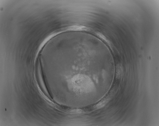 X0000085261467200703091311