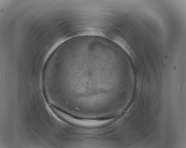 X0000085261468200703091311