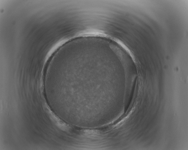 X0000085261469200703091311