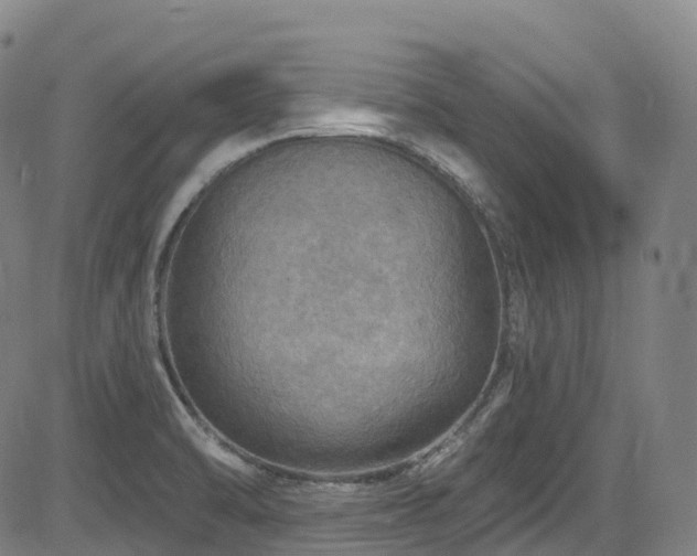 X0000085261470200703091311