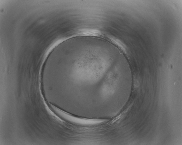 X0000085261471200703091311