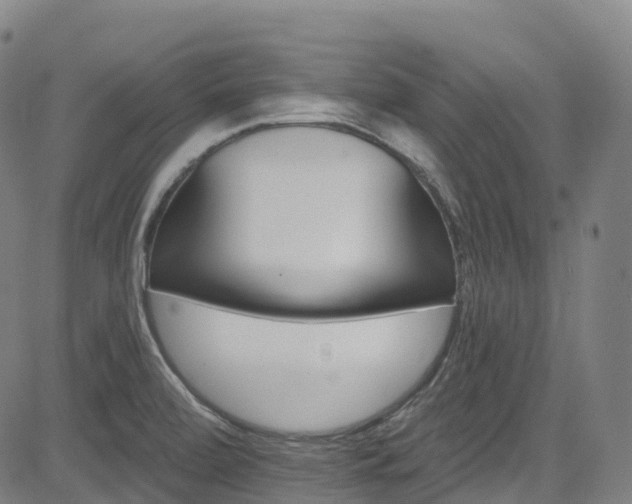 X0000085261472200703091311