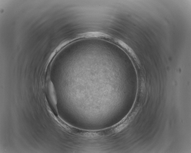 X0000085261473200703091311