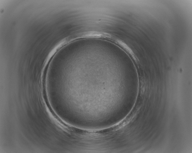 X0000085261475200703091311