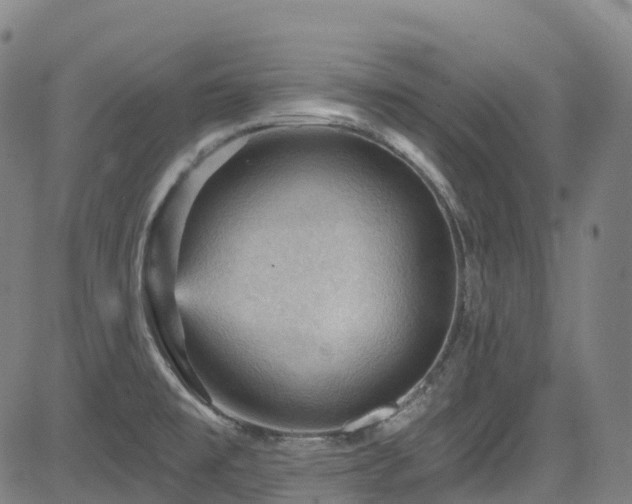 X0000085261477200703091311