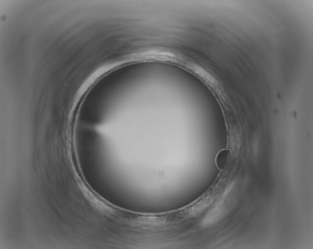 X0000085261478200703091311