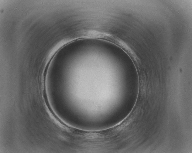 X0000085261479200703091311