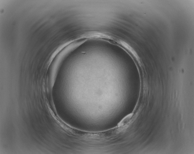 X0000085261481200703091311