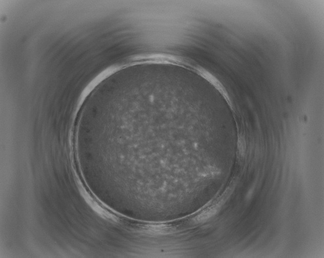 X0000085261482200703091311