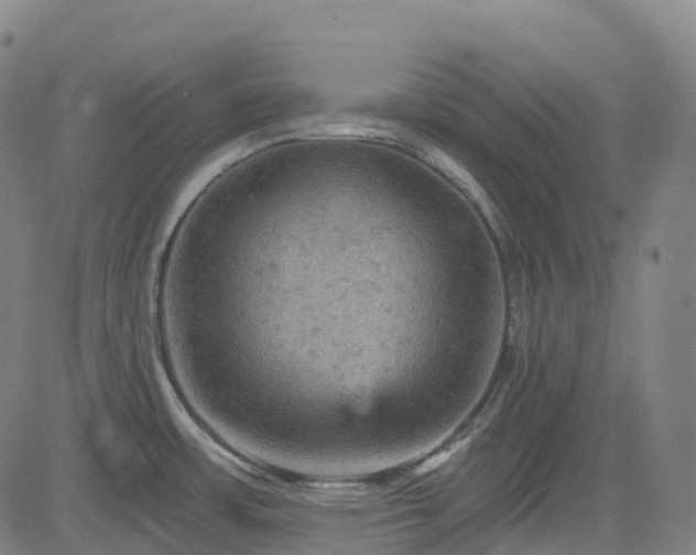 X0000085261483200703091311