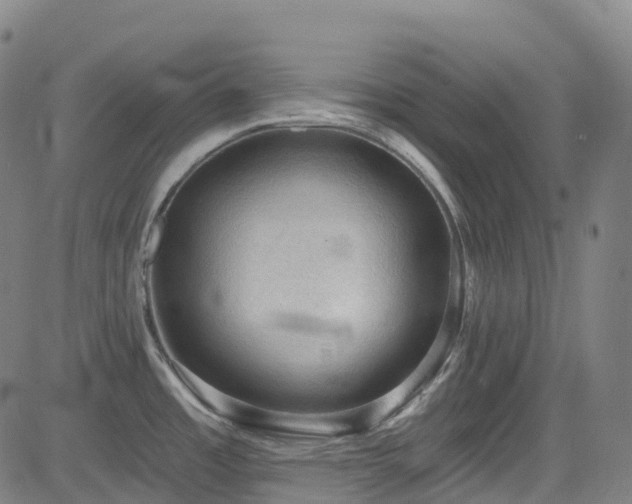 X0000085261485200703091311