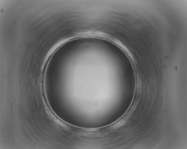 X0000085261486200703091311