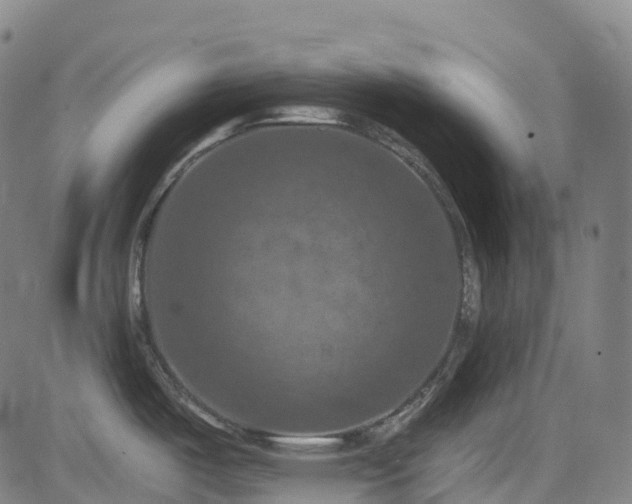 X0000085261487200703091311