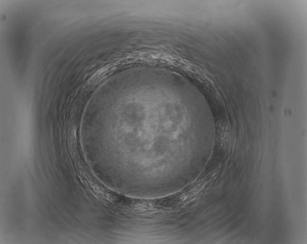 X0000085261489200703091310