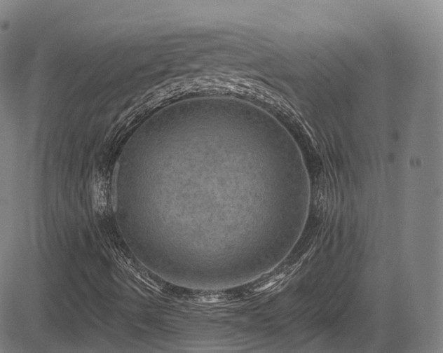 X0000085261490200703091310