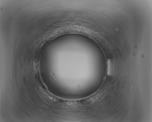 X0000085261491200703091310