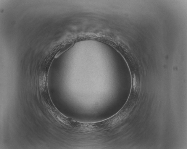 X0000085261492200703091310