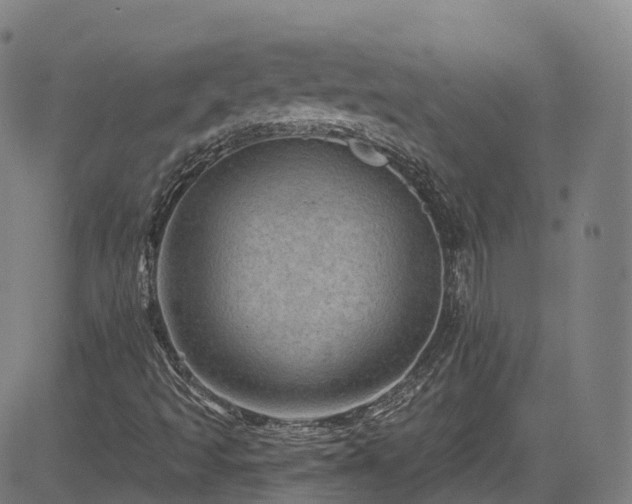 X0000085261493200703091310