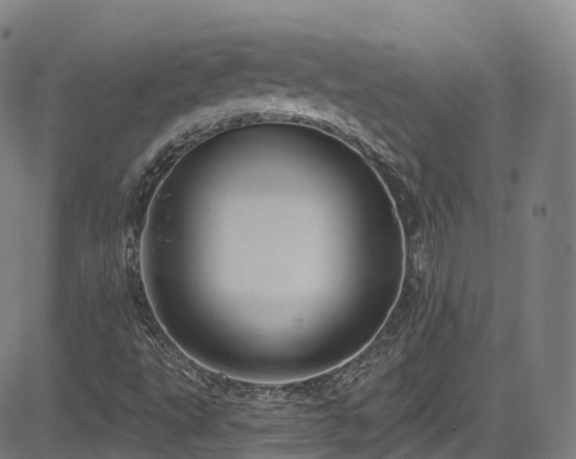 X0000085261495200703091310