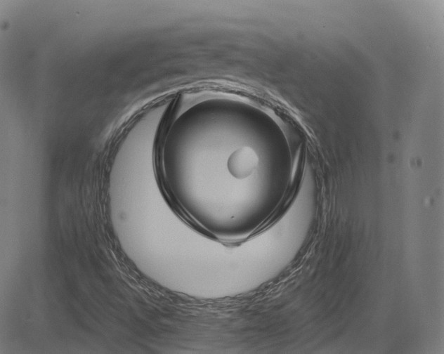 X0000085261496200703091310