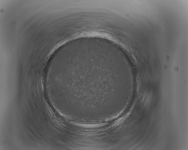 X0000085261497200703091310