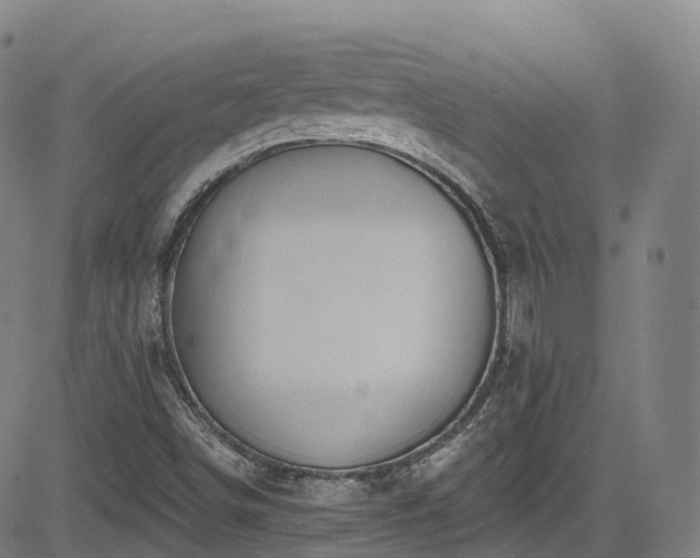 X0000085261498200703091310