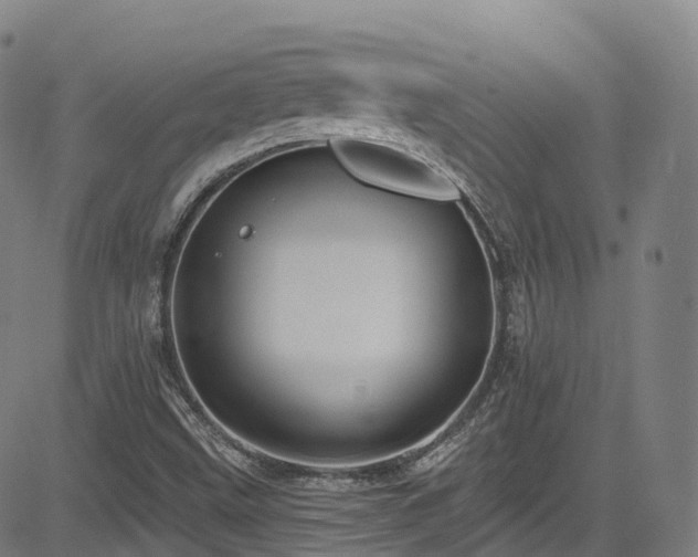 X0000085261499200703091310