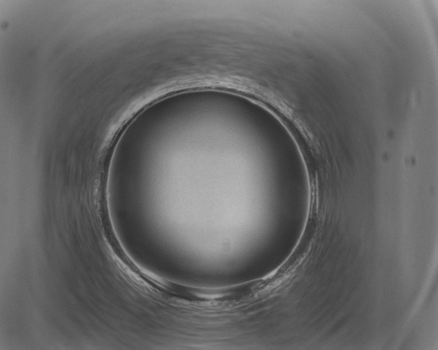 X0000085261500200703091310