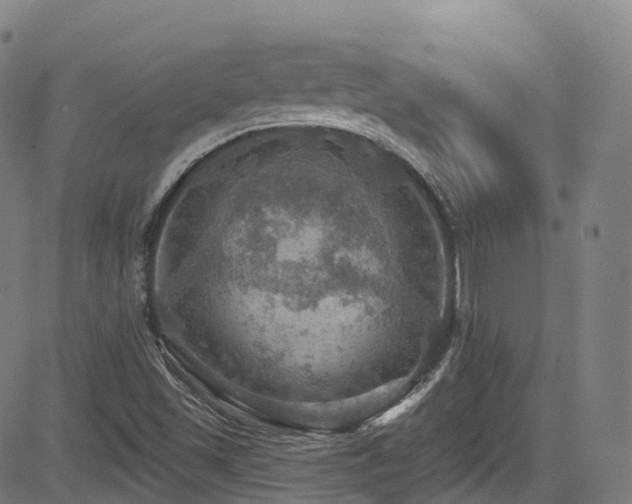 X0000085261501200703091310